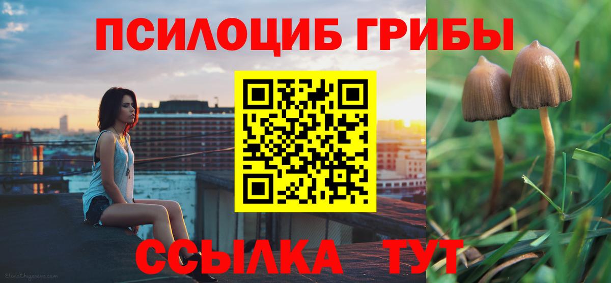 Чайковский  Галлюциногенные грибы мицелий  Вход с VPN 